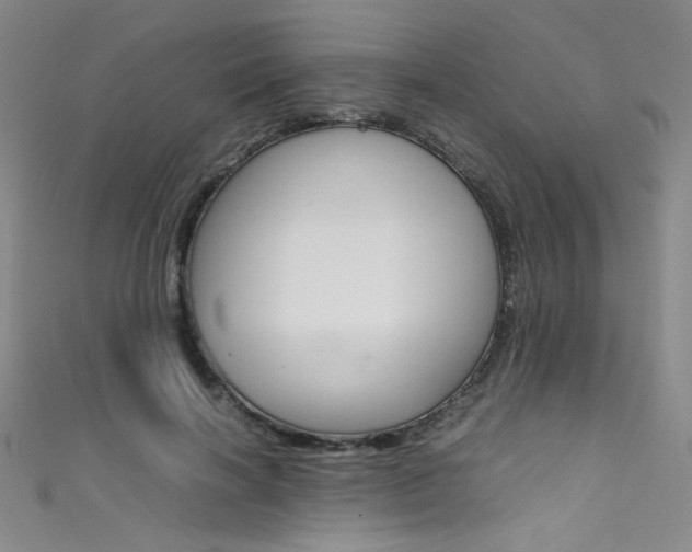 X0000111490646200907141104