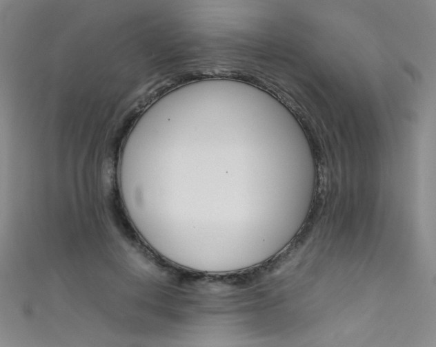 X0000111490648200907141104