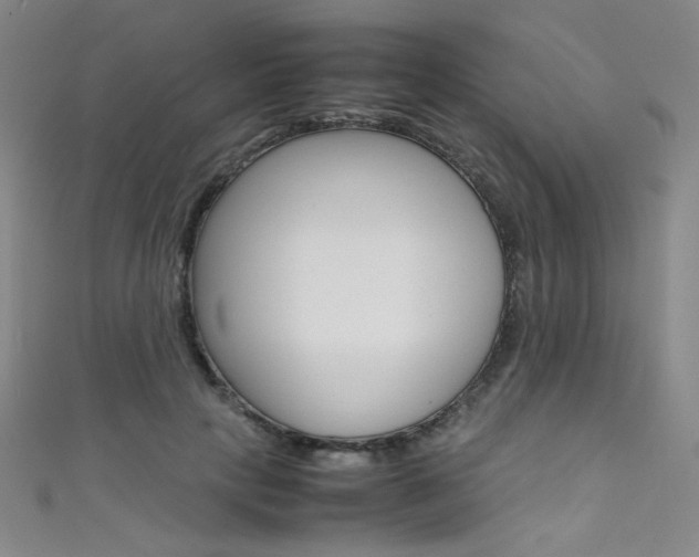 X0000111490649200907141104