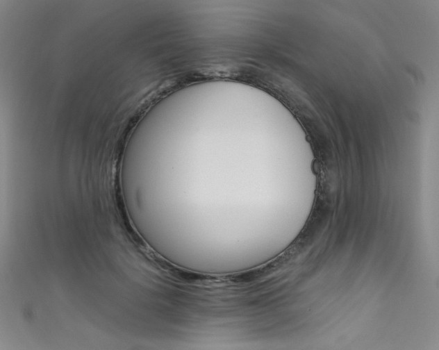 X0000111490652200907141104