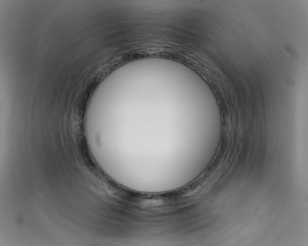 X0000111490653200907141104