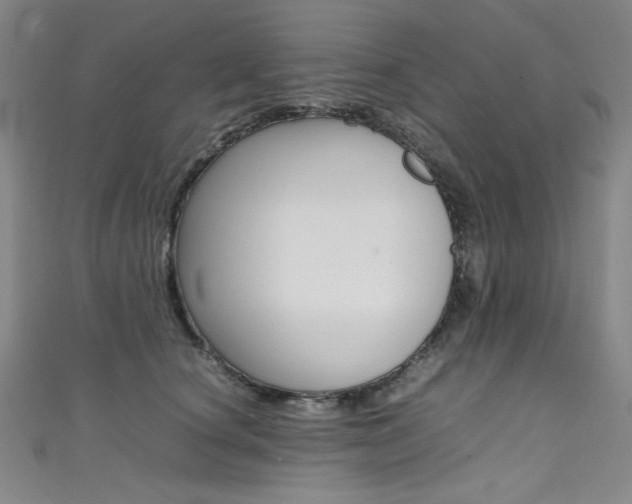 X0000111490660200907141104