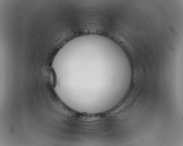 X0000111490661200907141104