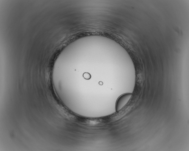 X0000111490662200907141104