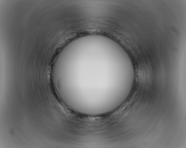 X0000111490664200907141104