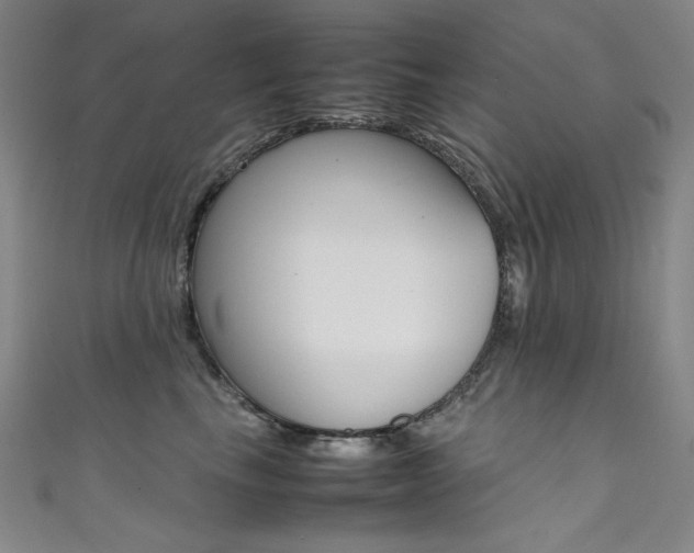 X0000111490665200907141104