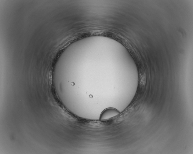 X0000111490666200907141104