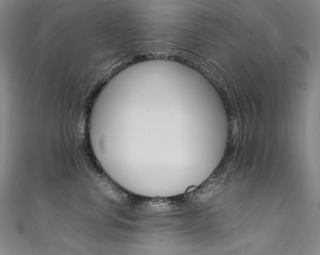 X0000111490668200907141104