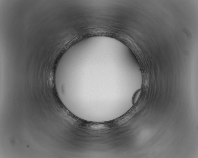 X0000111490669200907141104
