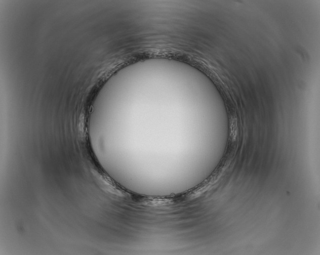 X0000111490670200907141104