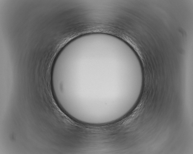 X0000111490673200907141104