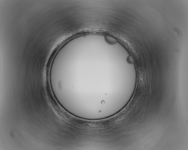 X0000111490678200907141104
