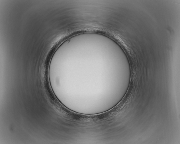 X0000111490679200907141104