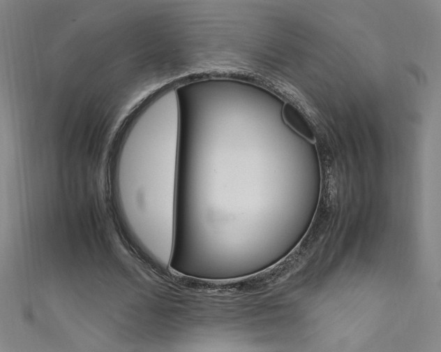 X0000111490680200907141104