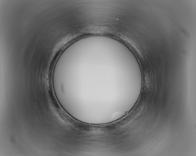 X0000111490682200907141104