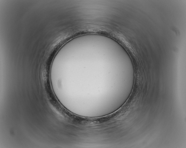 X0000111490683200907141104