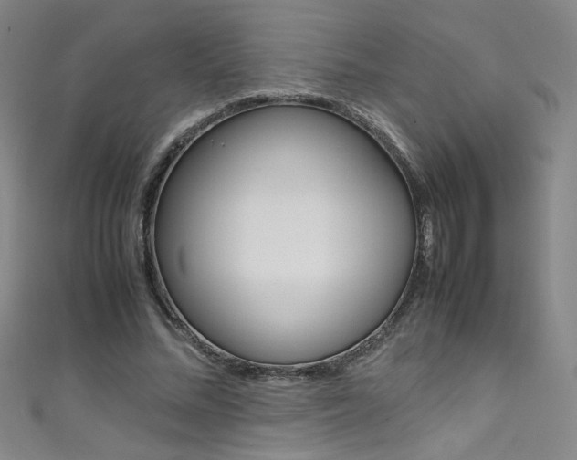 X0000111490684200907141104