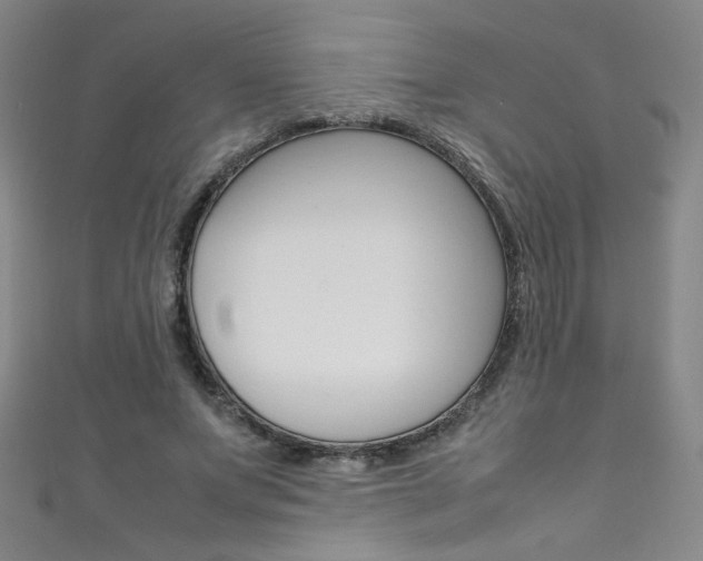 X0000111490687200907141104