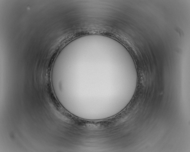 X0000111490690200907141104