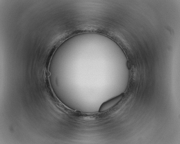 X0000111490692200907141104