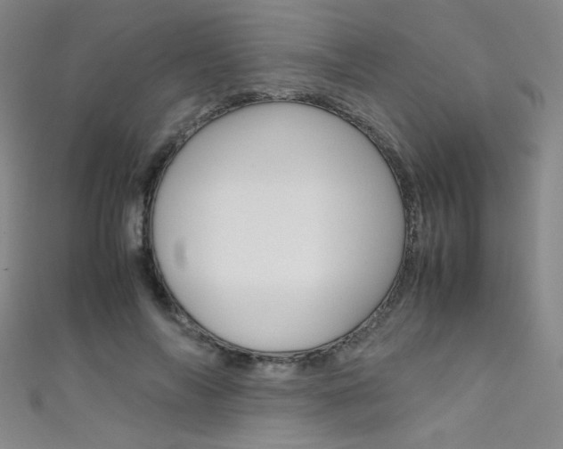 X0000111490694200907141104
