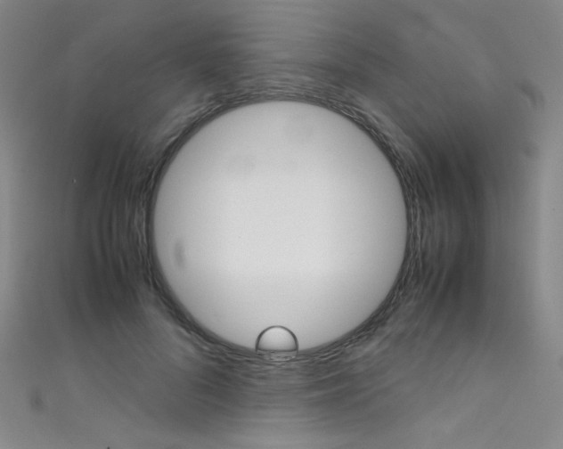 X0000111490696200907141104