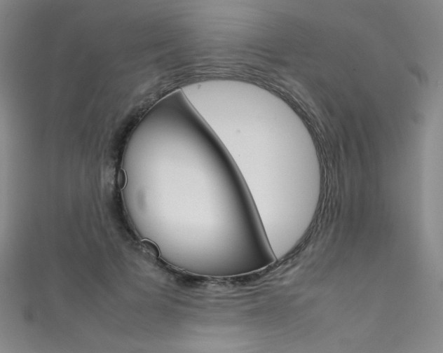 X0000111490697200907141104