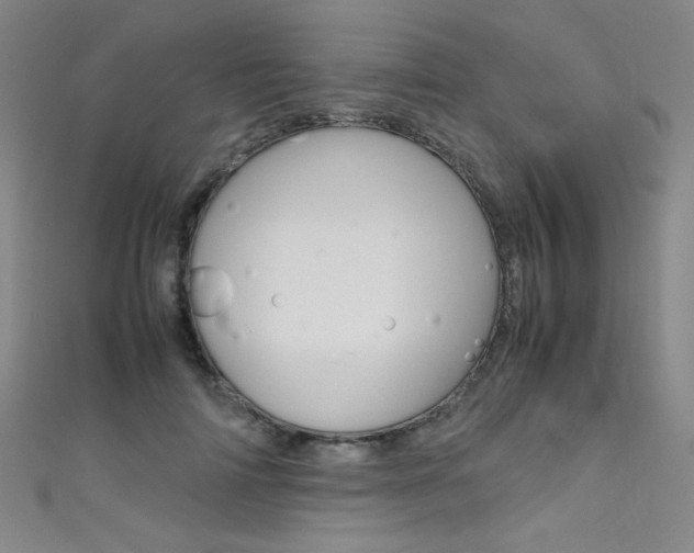 X0000111490698200907141104