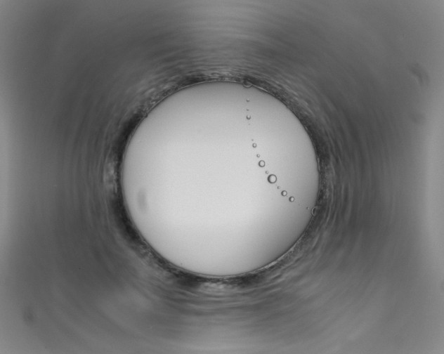 X0000111490699200907141104
