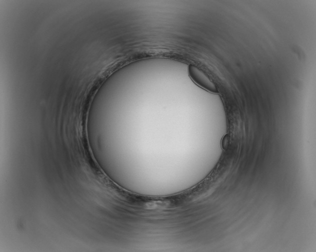 X0000111490700200907141104