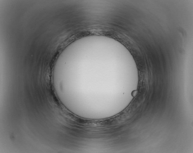 X0000111490702200907141104