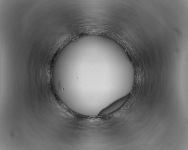 X0000111490716200907141103