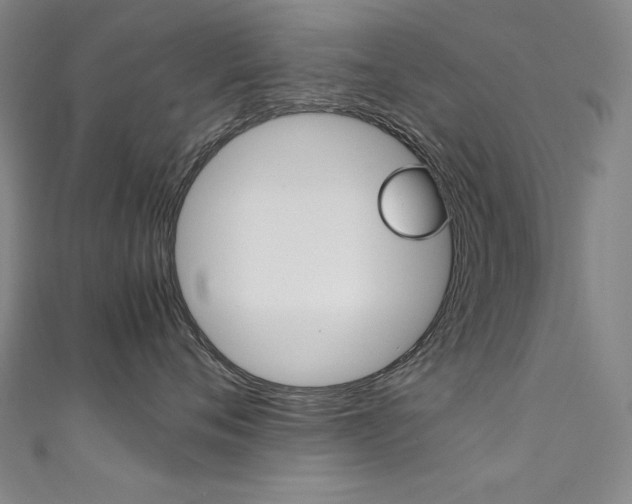 X0000111490720200907141103