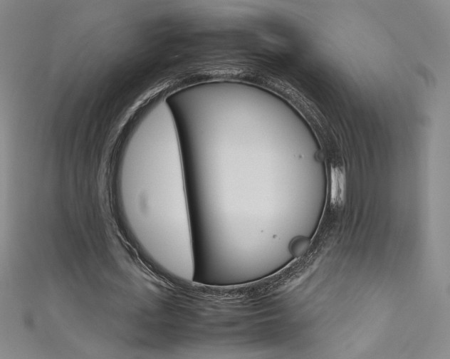 X0000111490723200907141103
