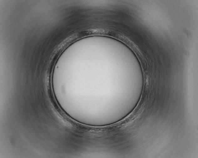 X0000111490725200907141103