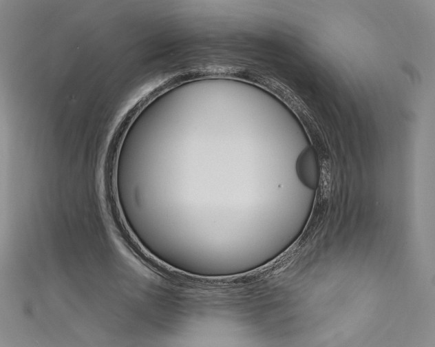 X0000111490726200907141103