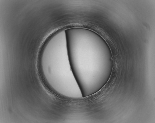 X0000111490728200907141103