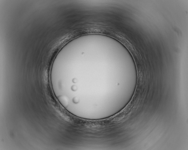 X0000111490729200907141103