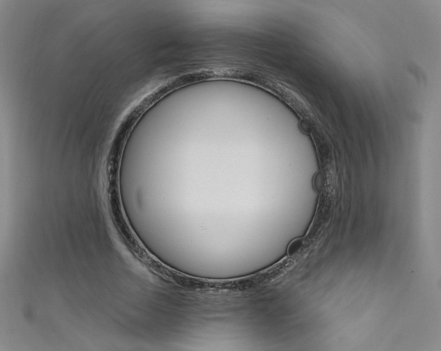 X0000111490730200907141103