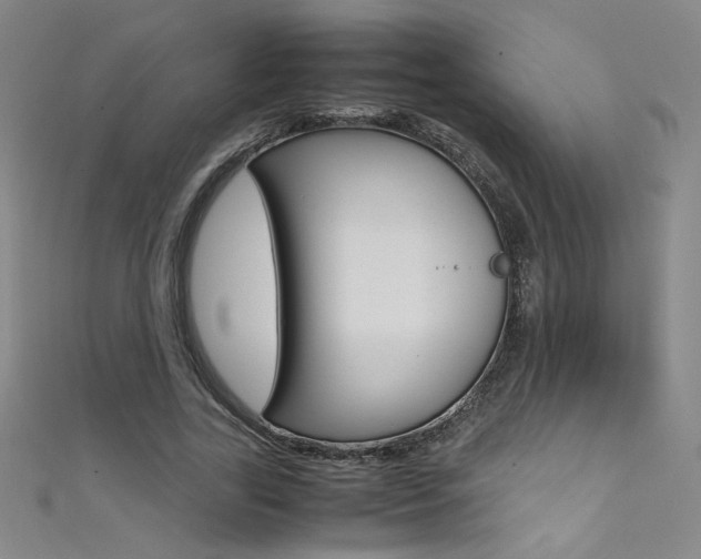 X0000111490731200907141103