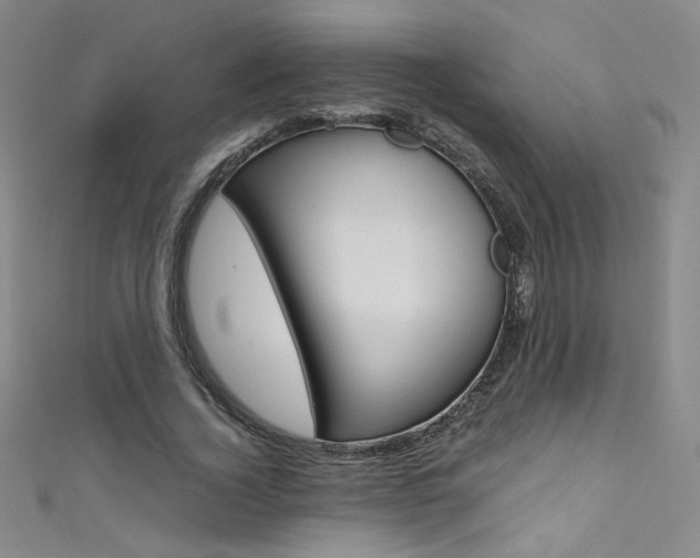 X0000111490732200907141103