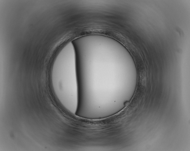 X0000111490735200907141103
