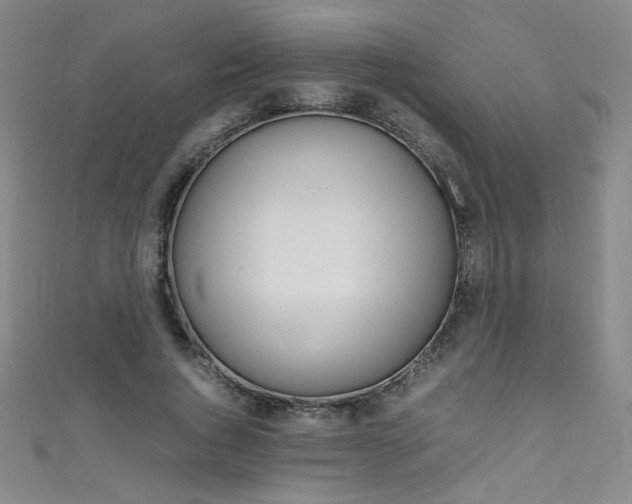 X0000111490736200907141103