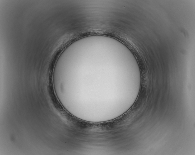 X0000111490738200907141103
