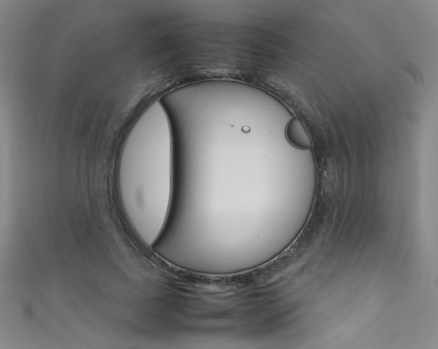 X0000111490739200907141103