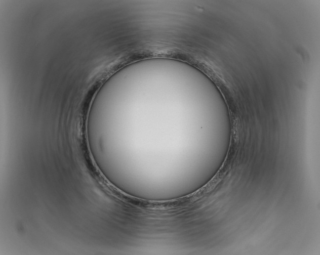X0000111490740200907141103