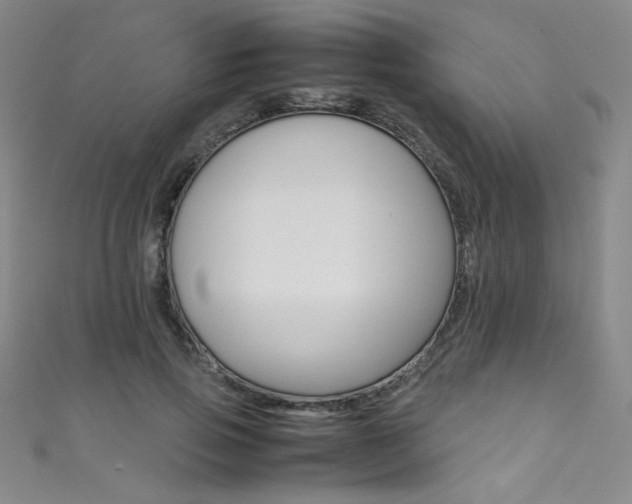X0000111490741200907141103