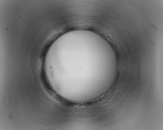 X0000111490742200907141103