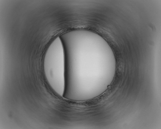 X0000111490743200907141103