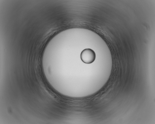 X0000111490744200907141103